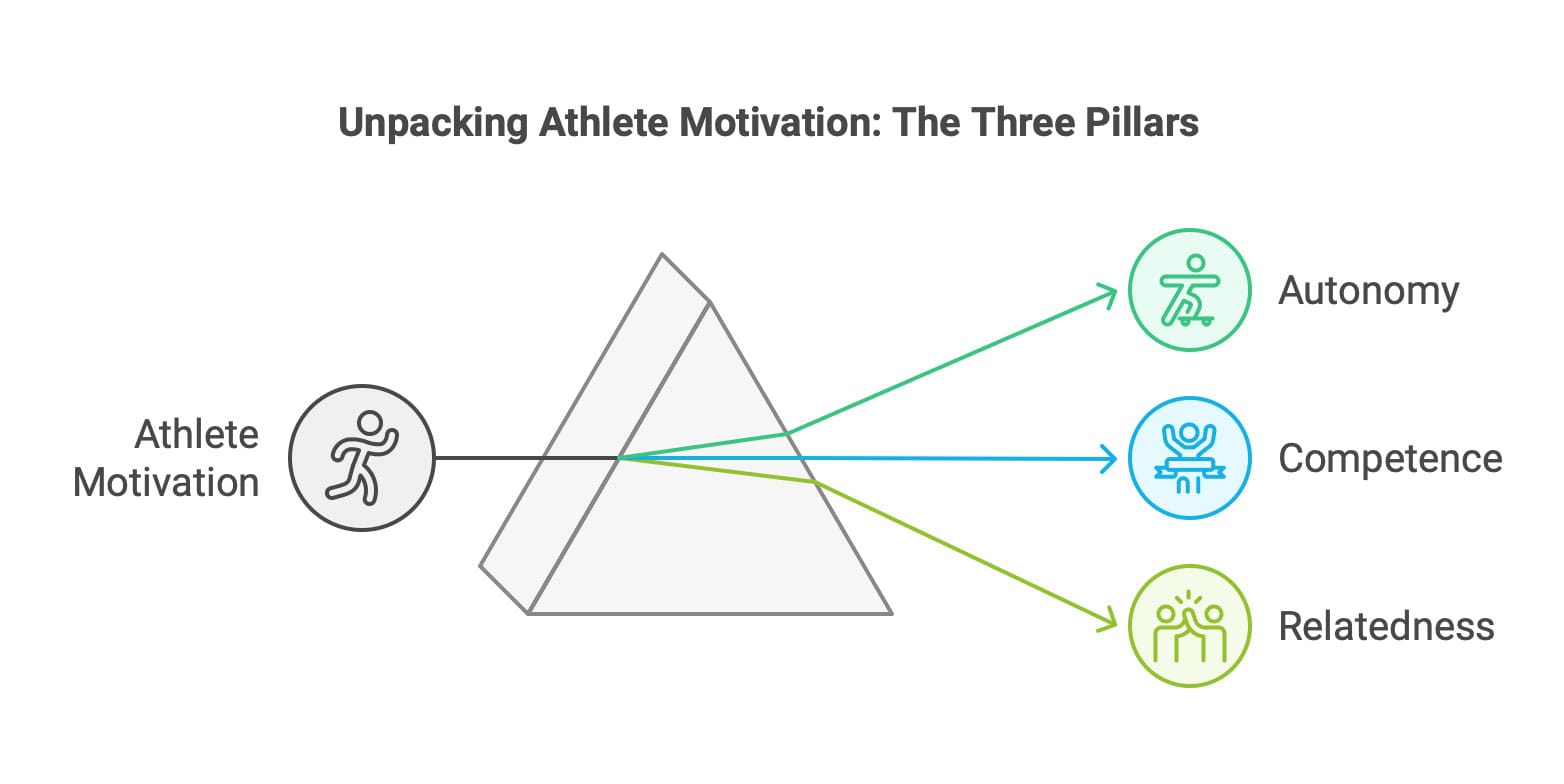 The Secret Sauce of Coaching - National High School Strength Coaches ...
